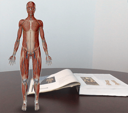 Anatomia e fisiologia: posizione anatomica e termini direzionali