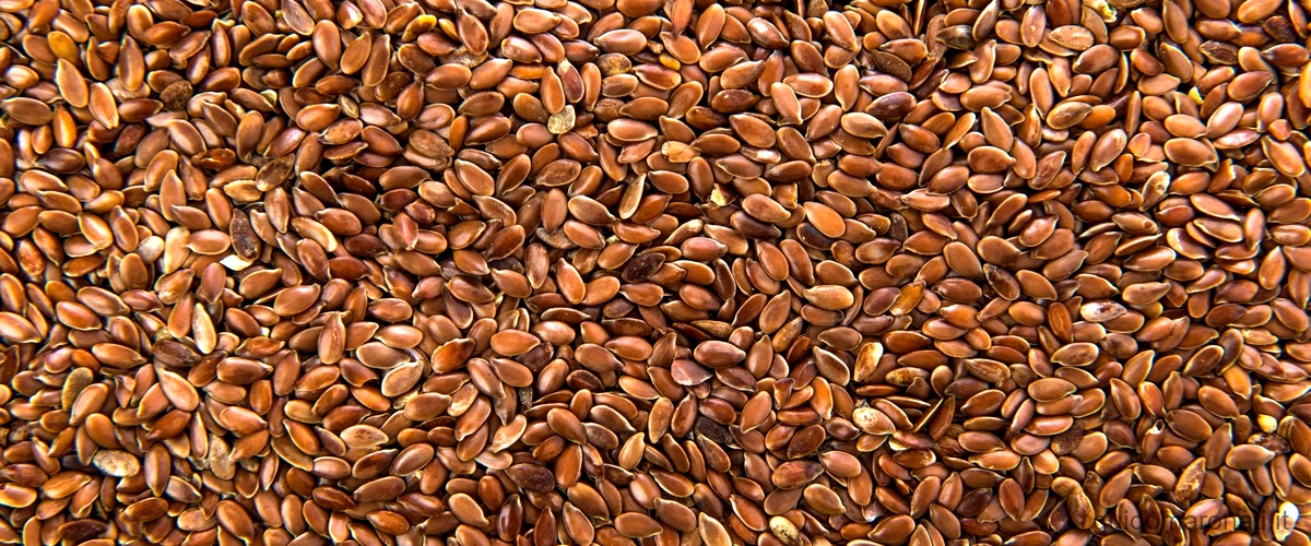 Quali sono le controindicazioni dei semi di lino?